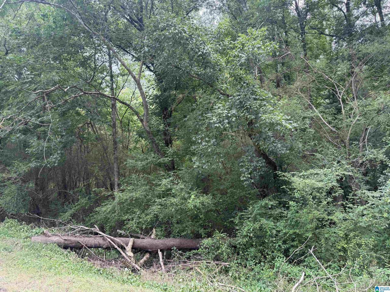 3500 Wilburn Lake Road - Photo 1