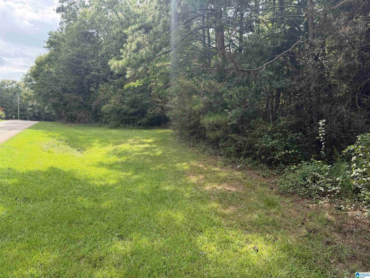0 County Road 82 - Photo 1