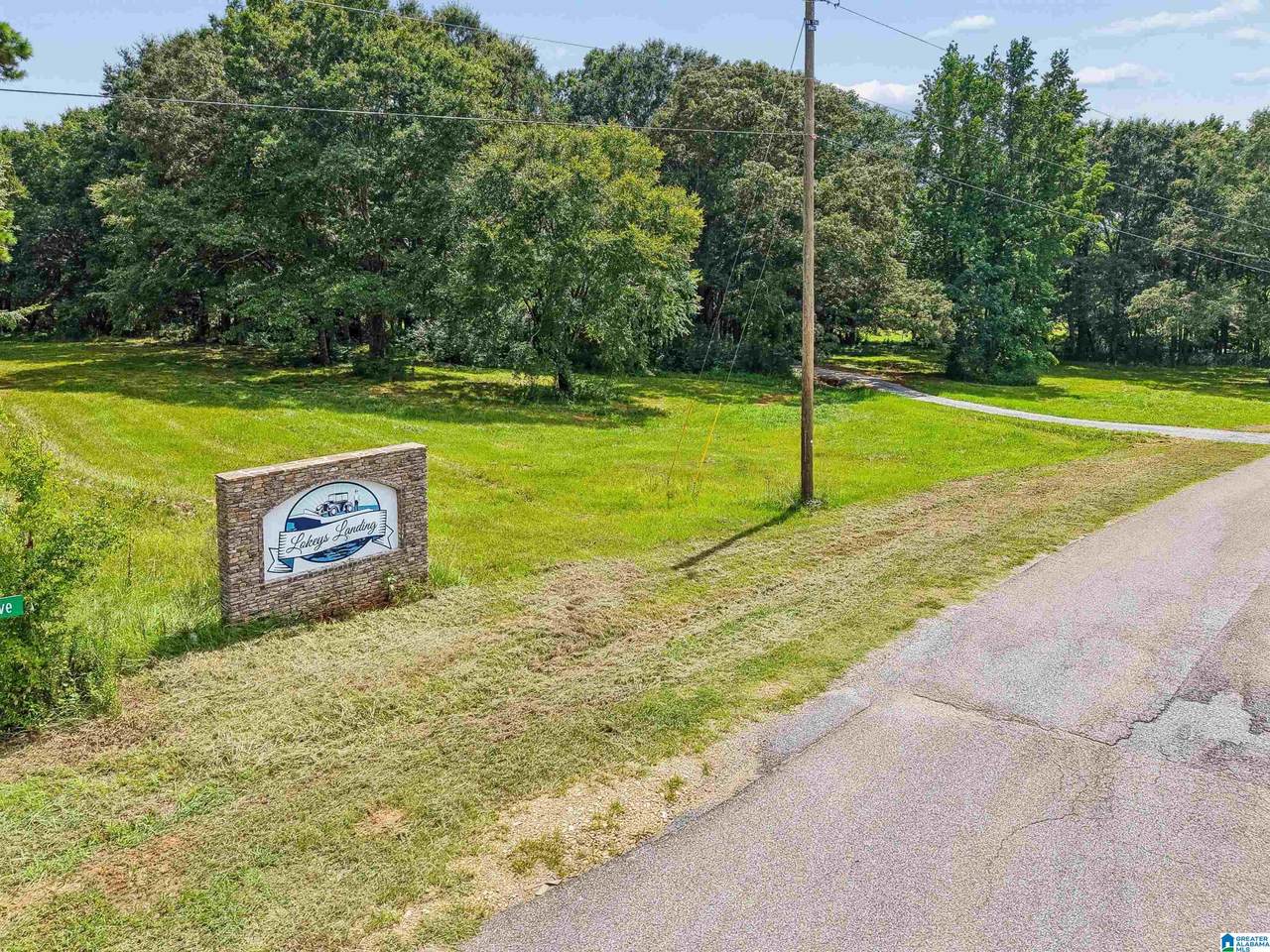 75 Lokey Drive - Photo 1