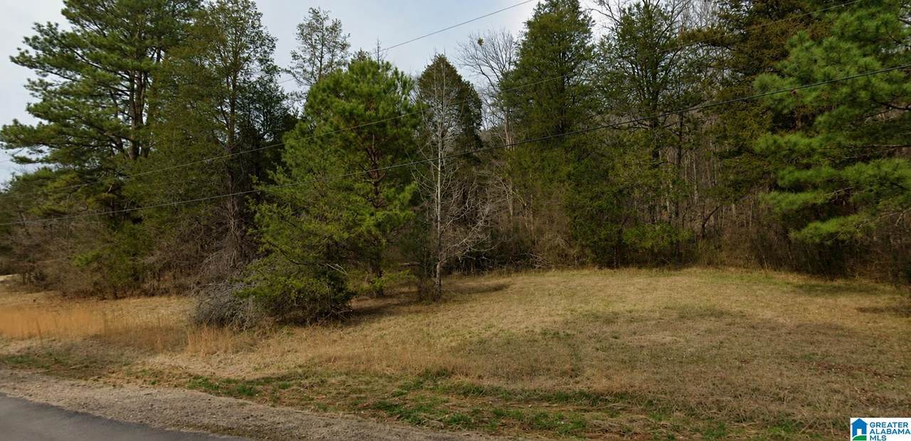 300 Heritage Valley Drive - Photo 1