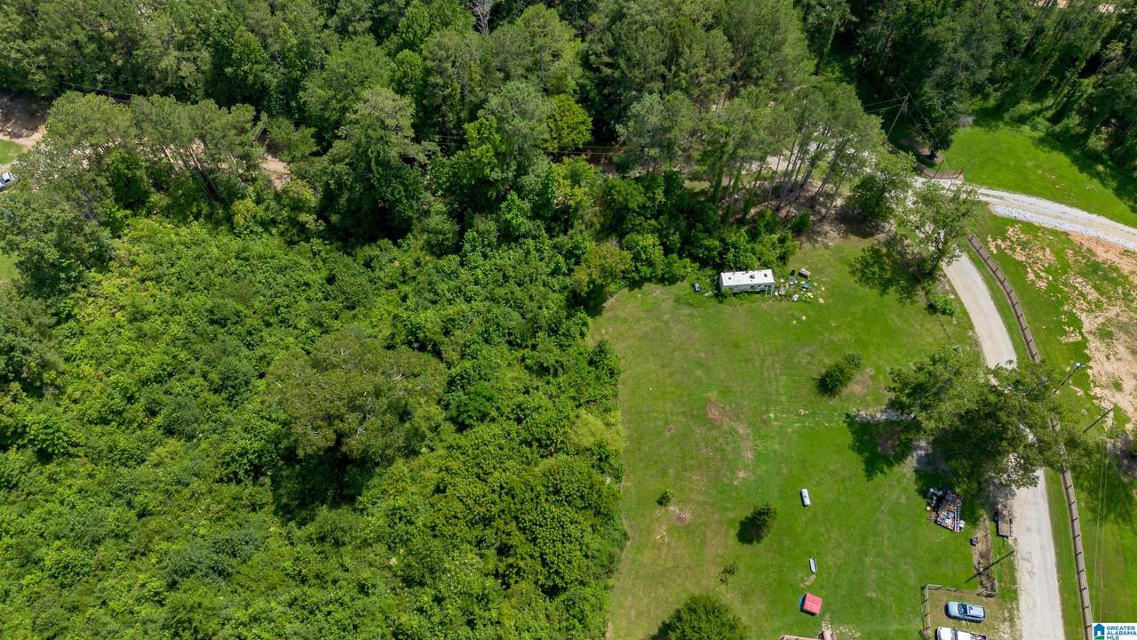 Tract 5 County Road 447 - Photo 1