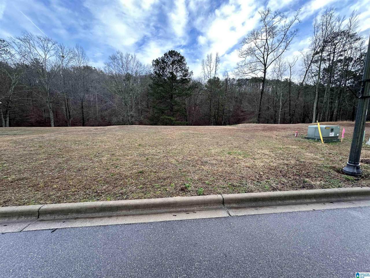 4315 Cahaba Bend - Photo 1