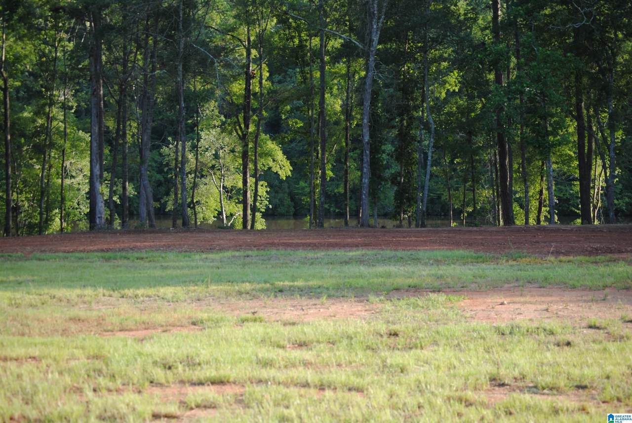  County Road 499 - Photo 1