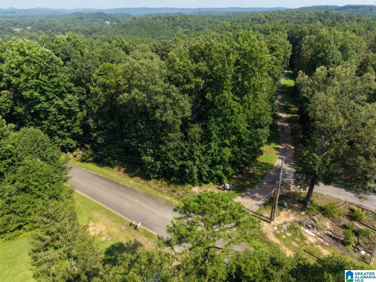 1555 Hagood Mtn Road - Photo 1