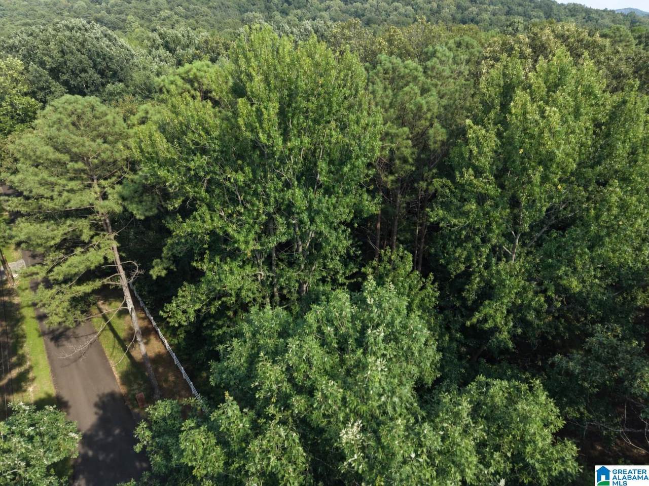 5389 Old Shadow Lake Road - Photo 1