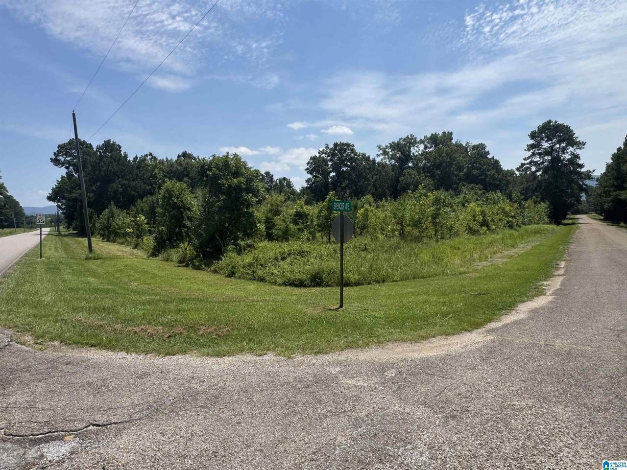 7 Acres Spencer Avenue - Photo 1