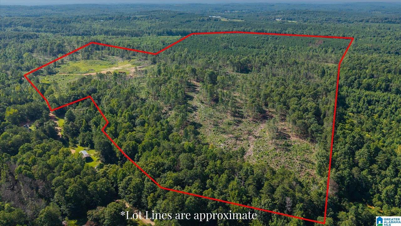 0 County Road 404 - Photo 1