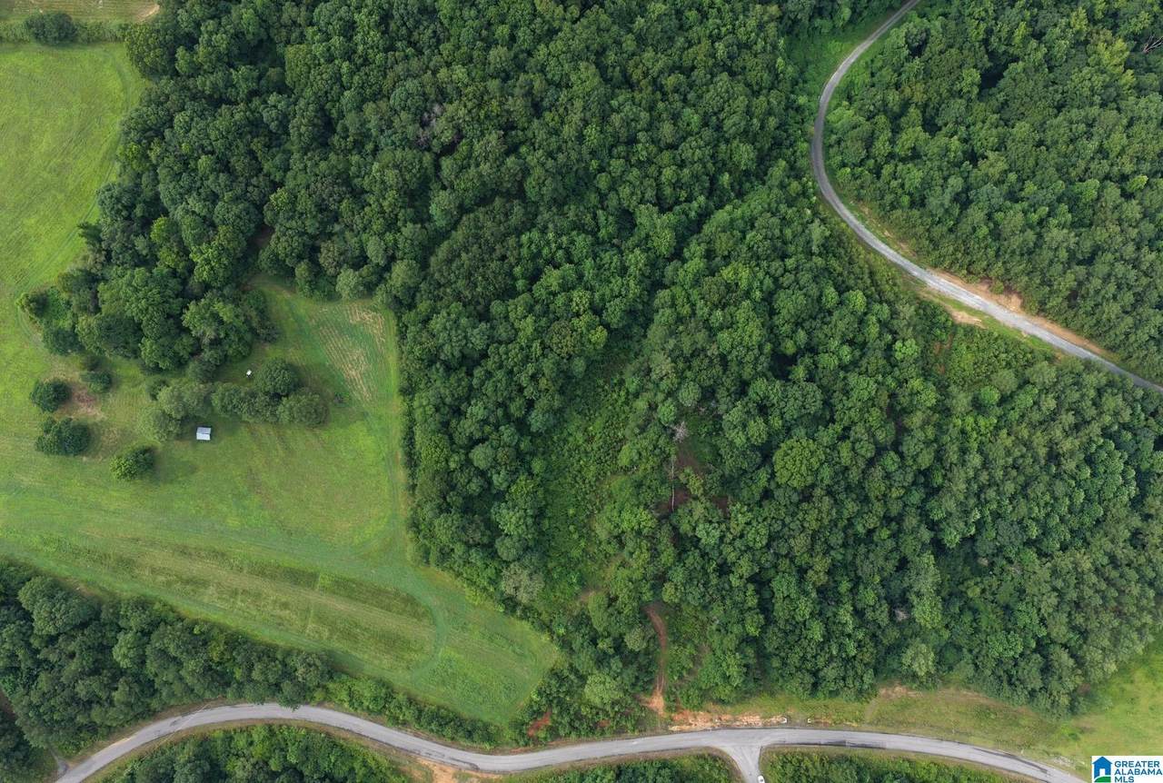 0 County Road 367 - Photo 1