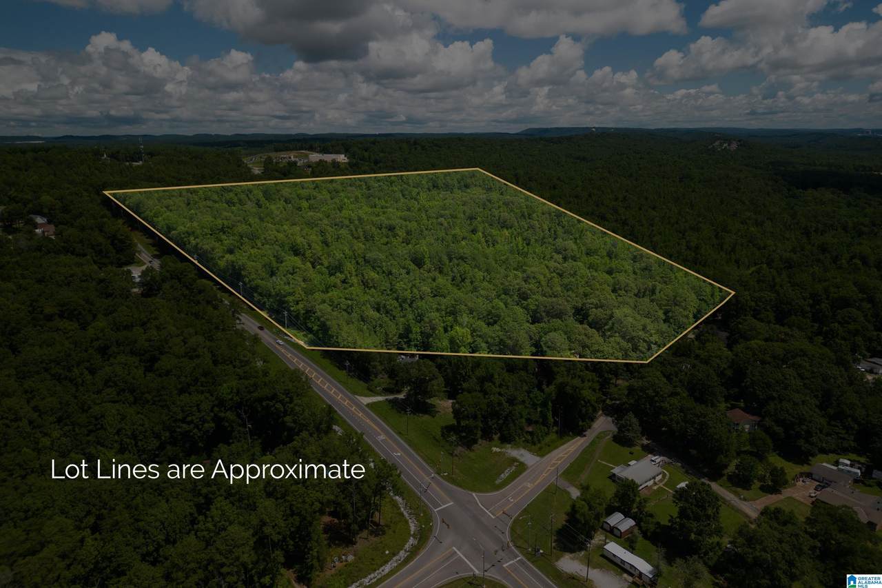 501 Highway 52 - Photo 1