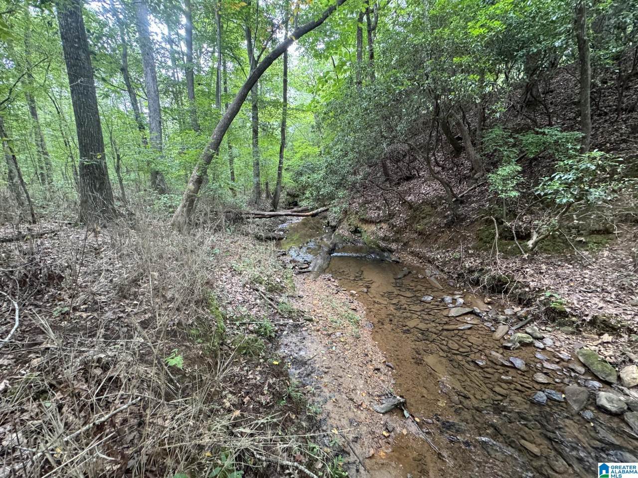  County Road 639 - Photo 1