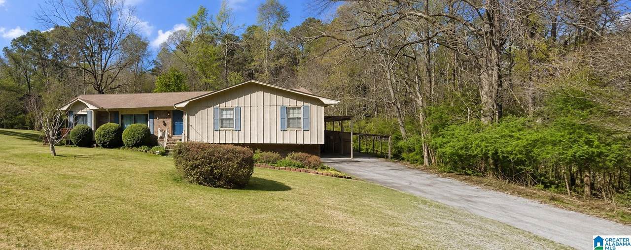 204 Laurel Drive - Photo 1