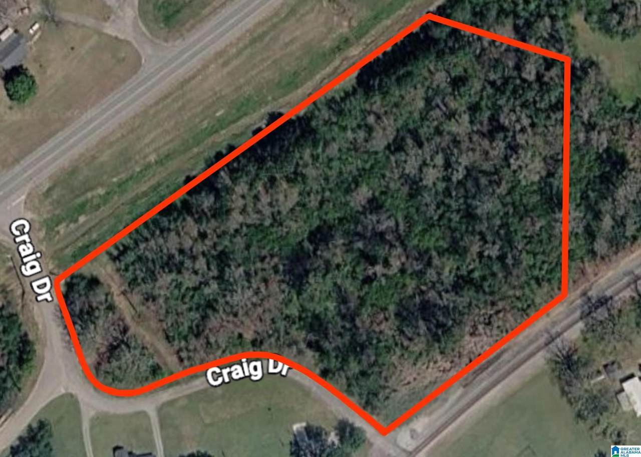 0 Craig Drive - Photo 1