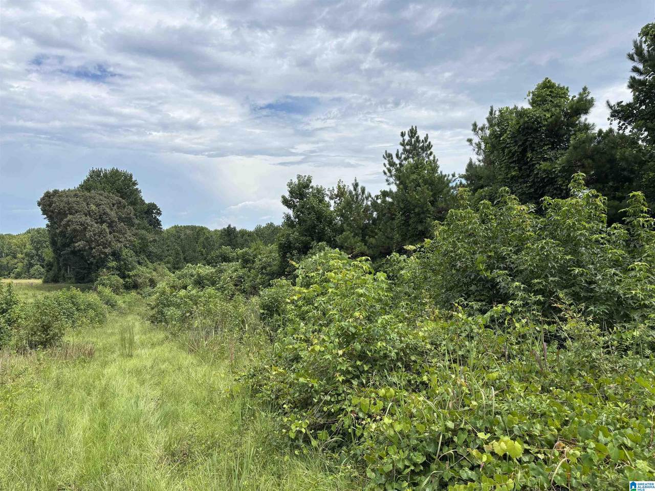  County Road 65 - Photo 1