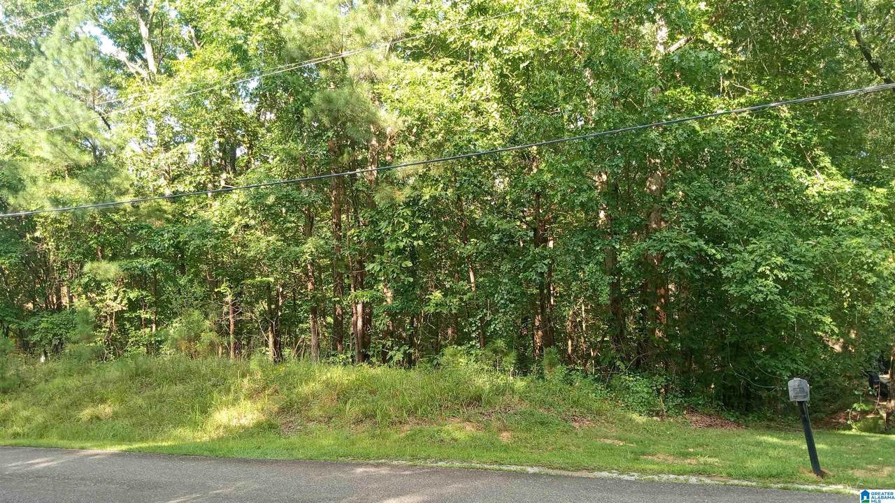  Peyton Drive - Photo 1