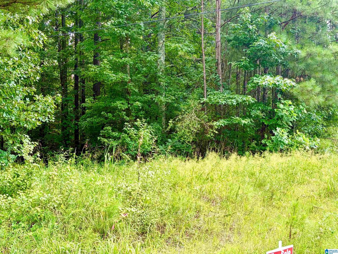 2837 Lehigh Road - Photo 1