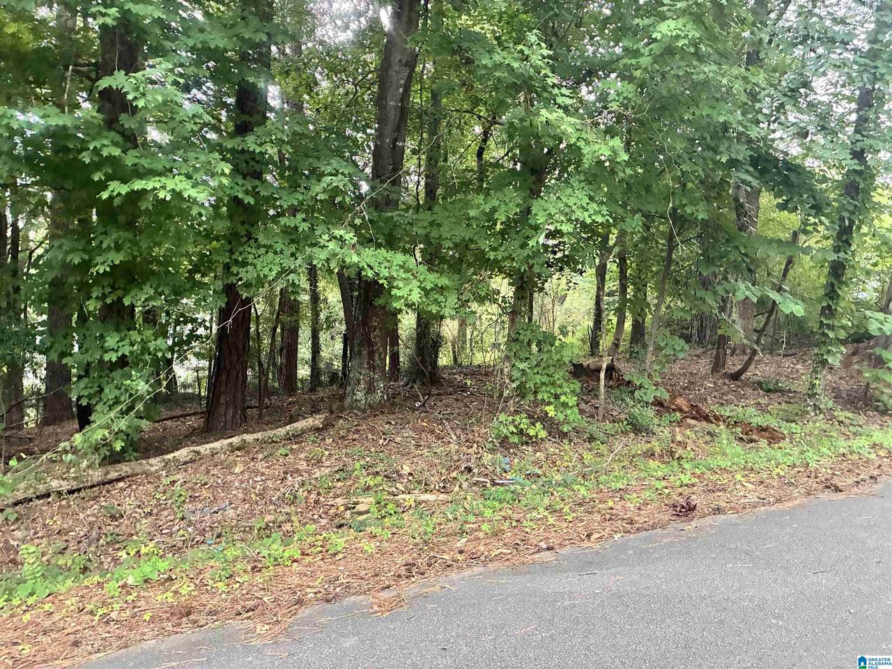 316 Warrior River Highlands Road - Photo 1