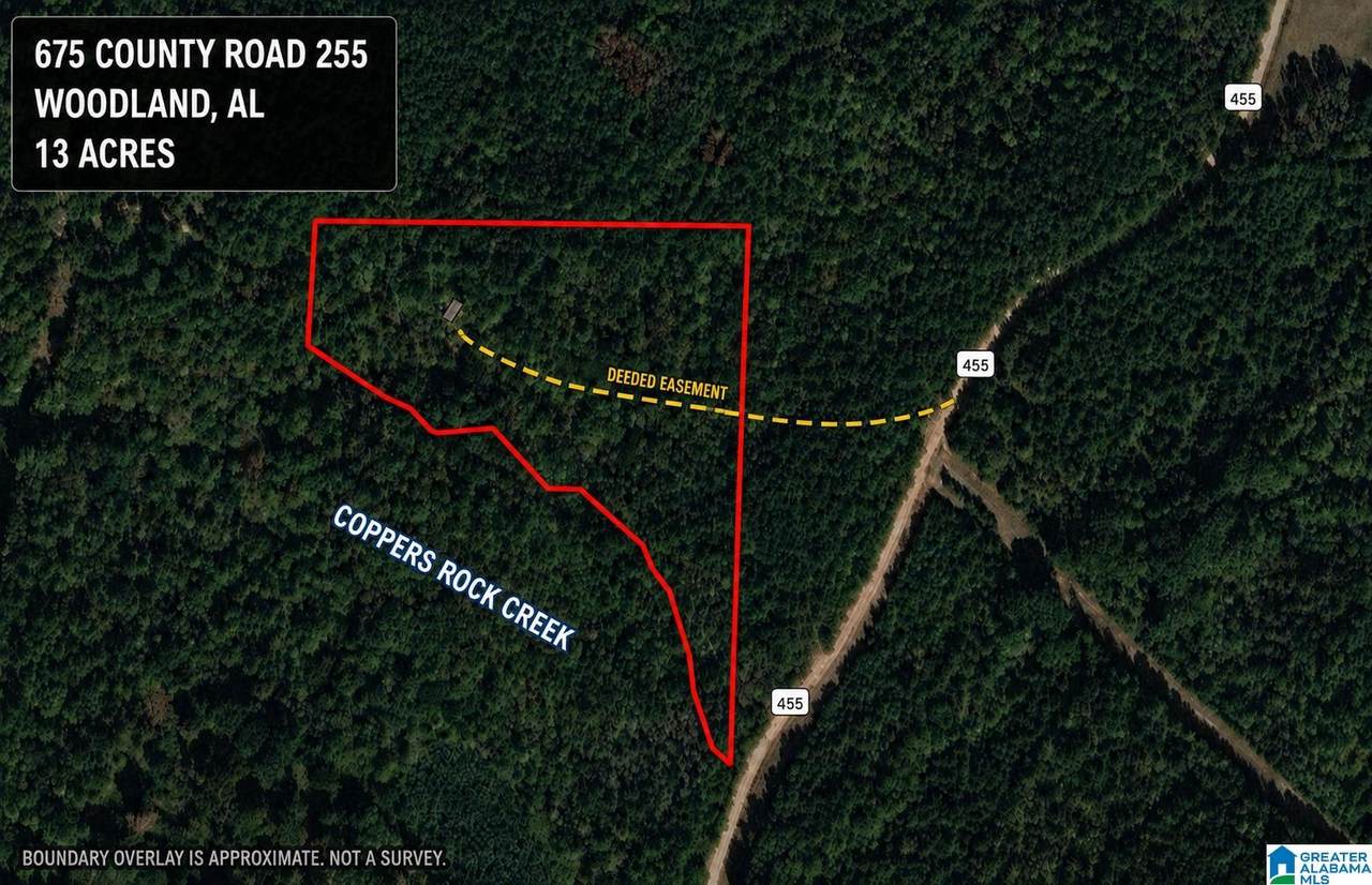 675 County Road 455 - Photo 1