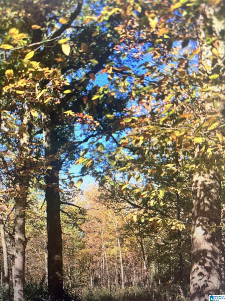 1399 Rock Creek Road - Photo 1
