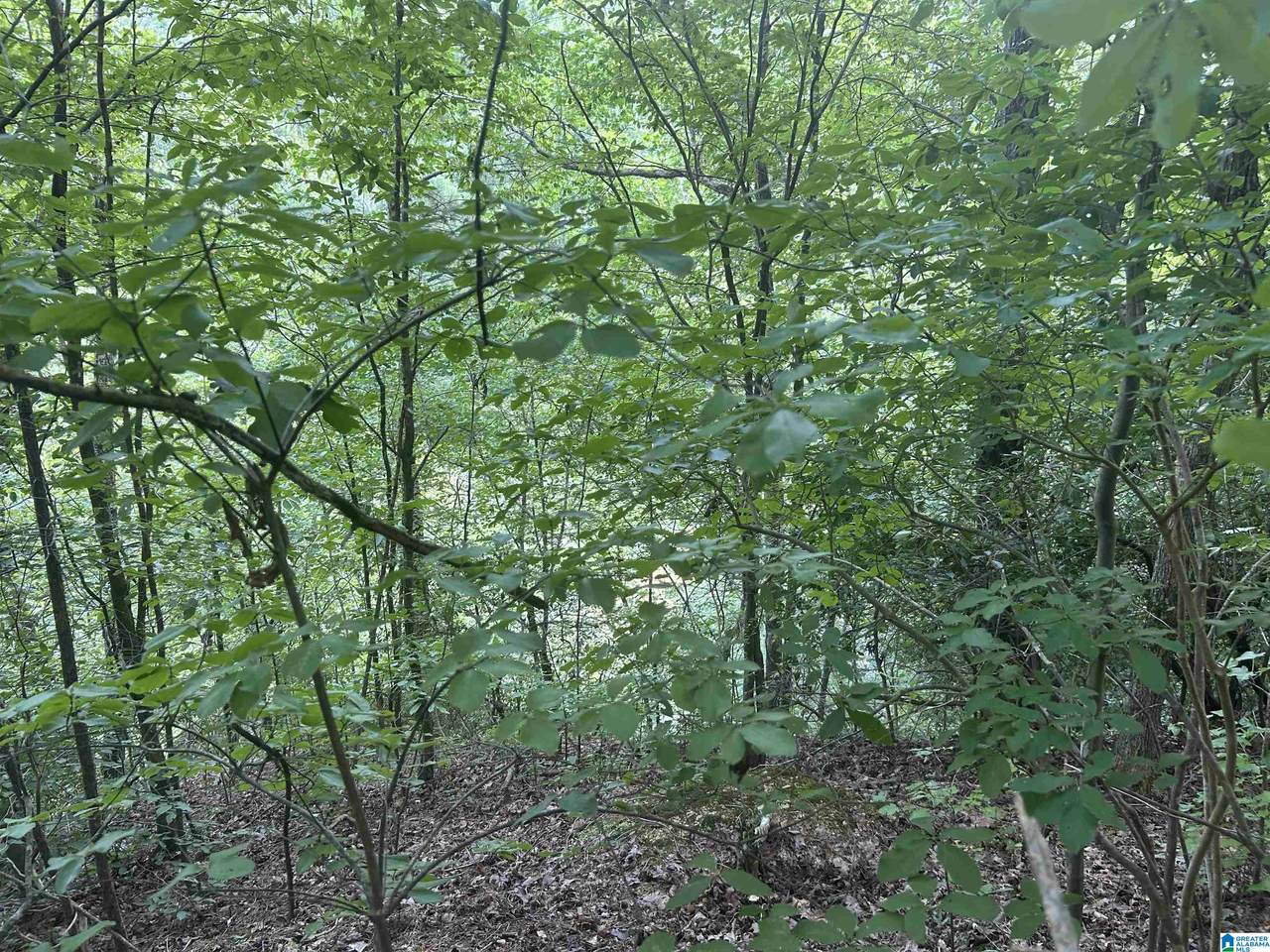 https://bt-photos.global.ssl.fastly.net/birmingham/1280_boomver_1_21461816-2.jpg