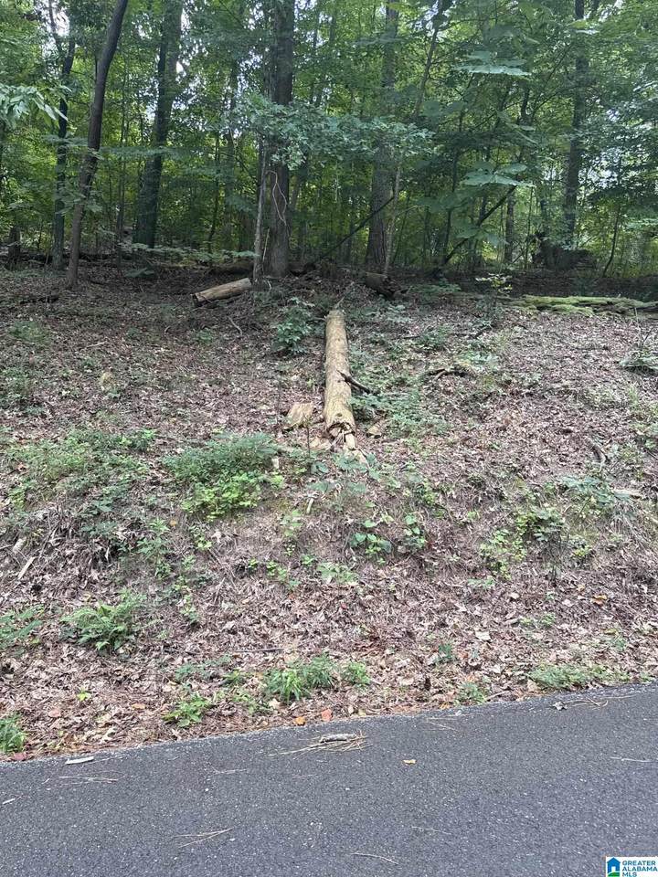 3649 Paver Drive - Photo 1