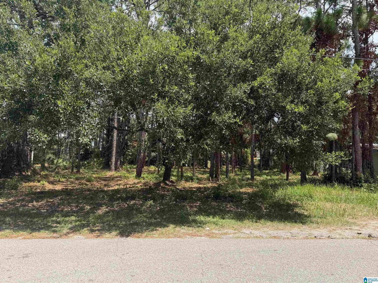 118 Forney Johnson Drive - Photo 1