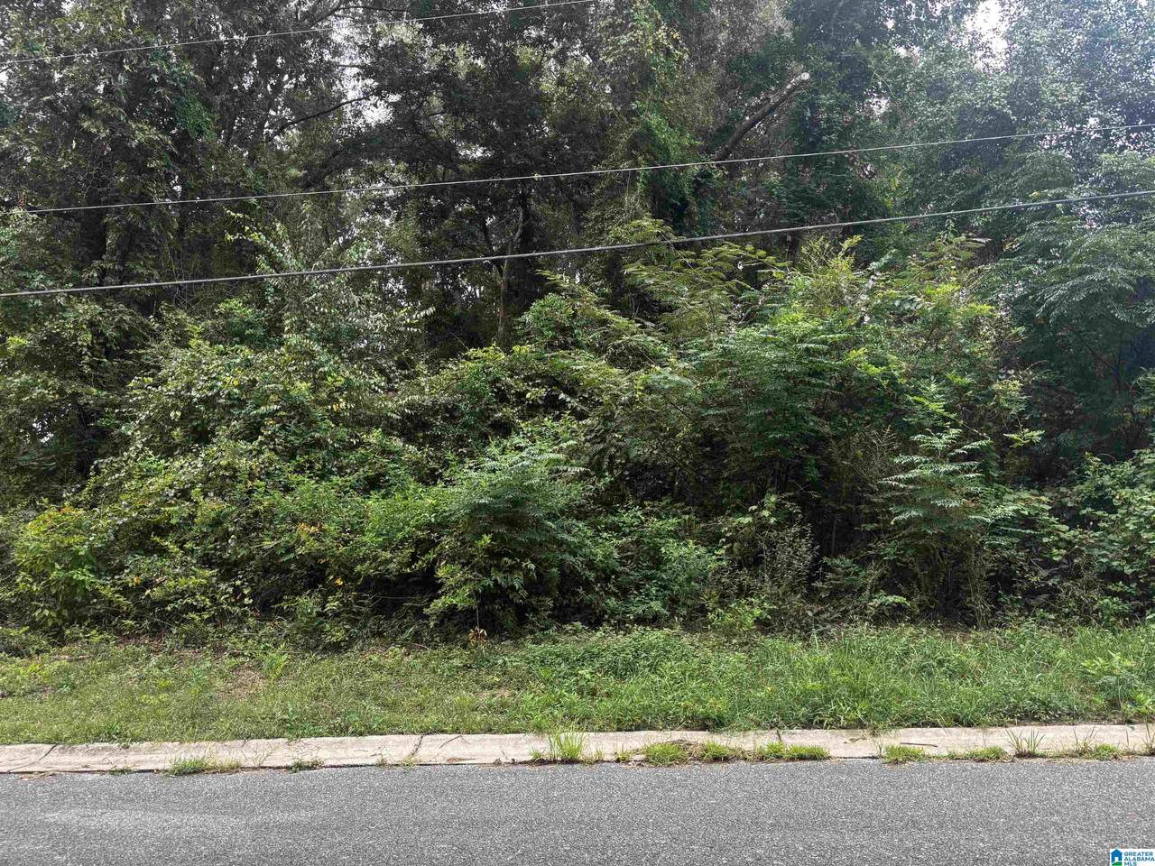 121 Wilson Glen Drive - Photo 1