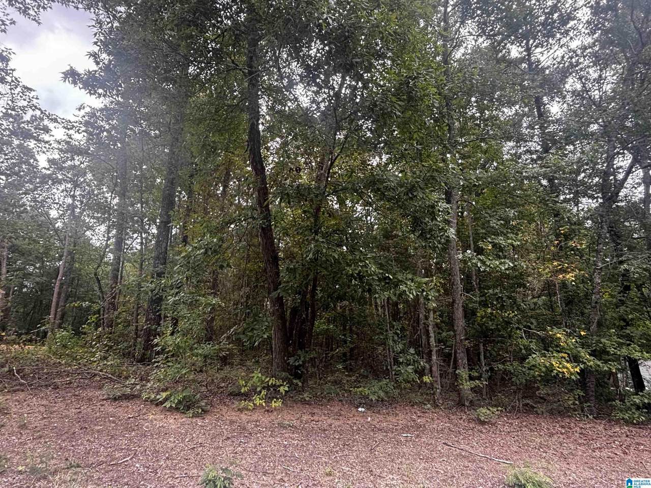106 Wilson Glen Drive - Photo 1