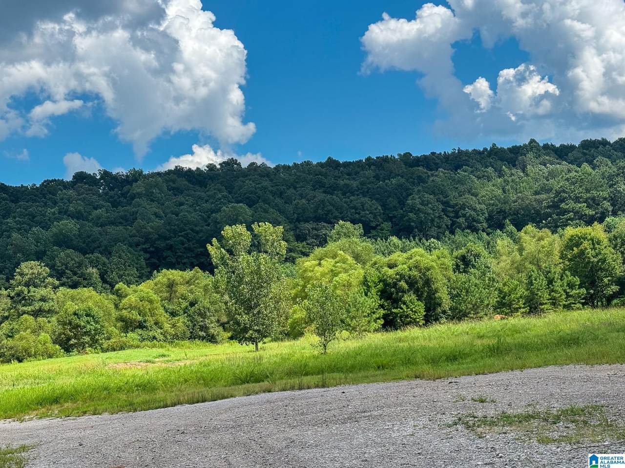 2561 Hardy Acres Road - Photo 1
