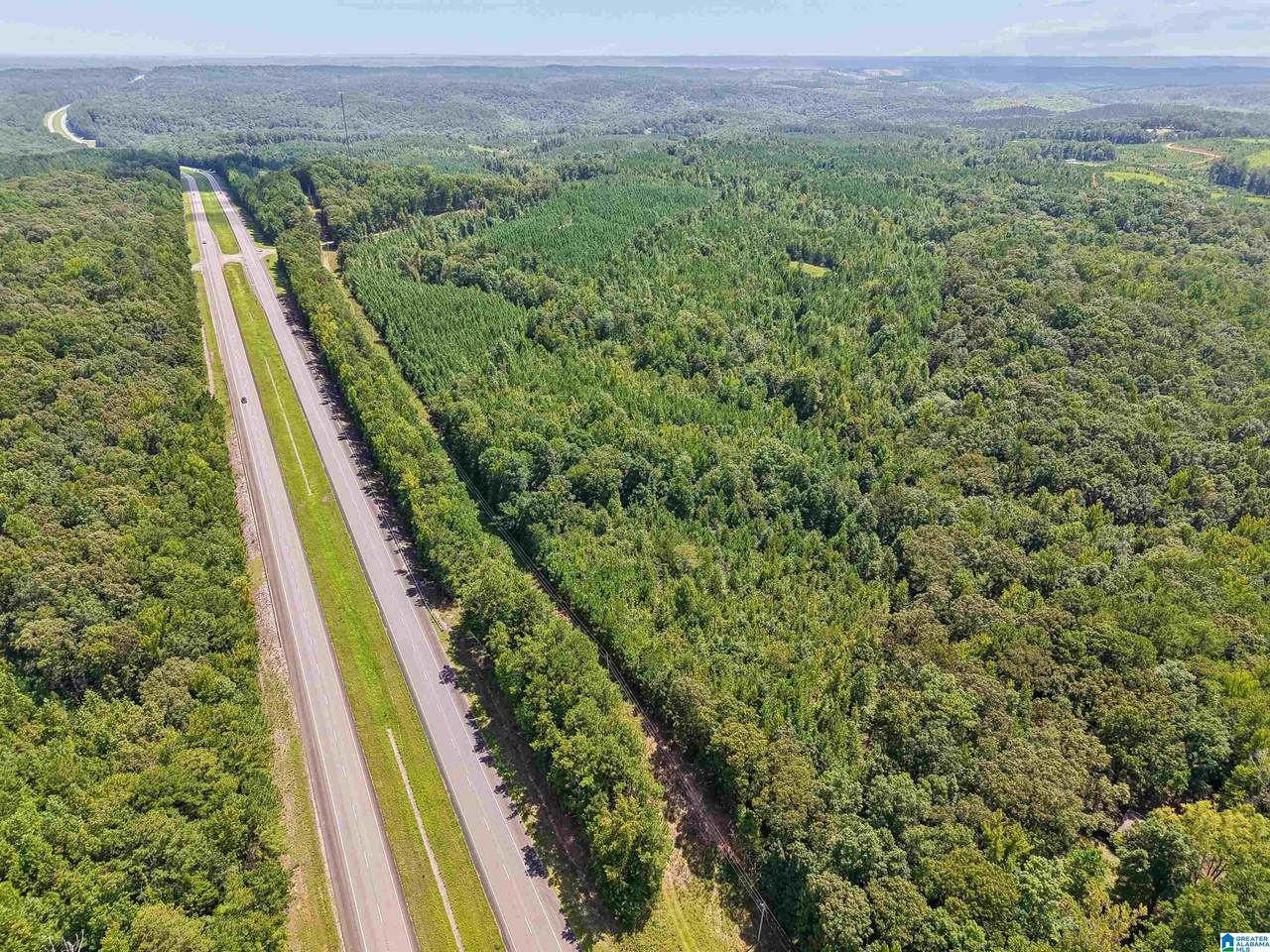 2387 County Road 131 - Photo 1