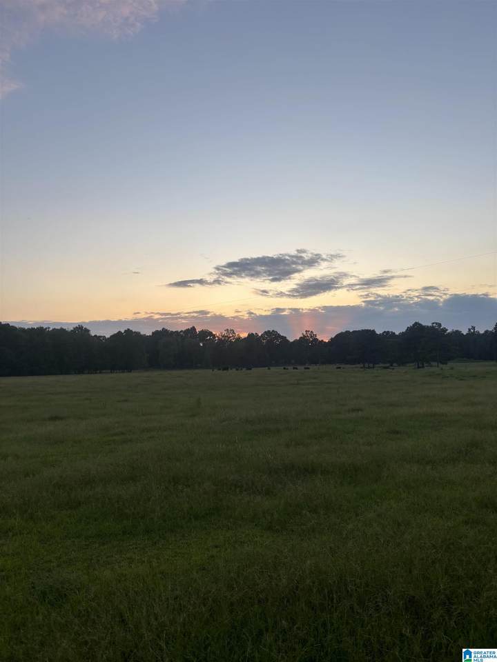 4759 County Road 55 - Photo 1