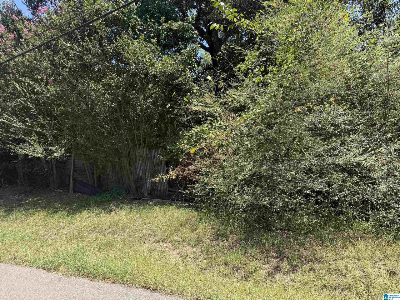 1079 Talley Avenue - Photo 1