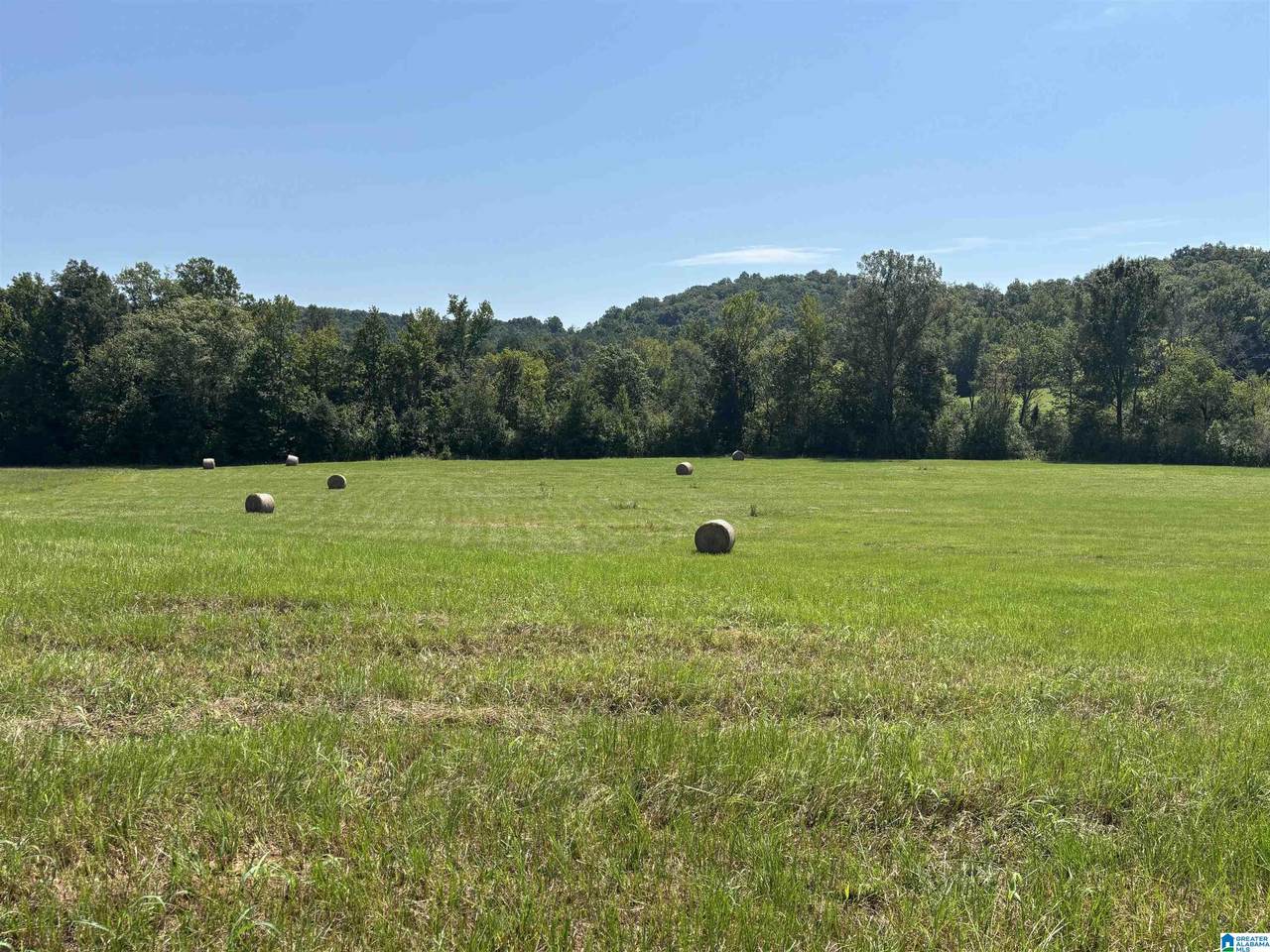 6559 Alabama Highway 174 - Photo 1