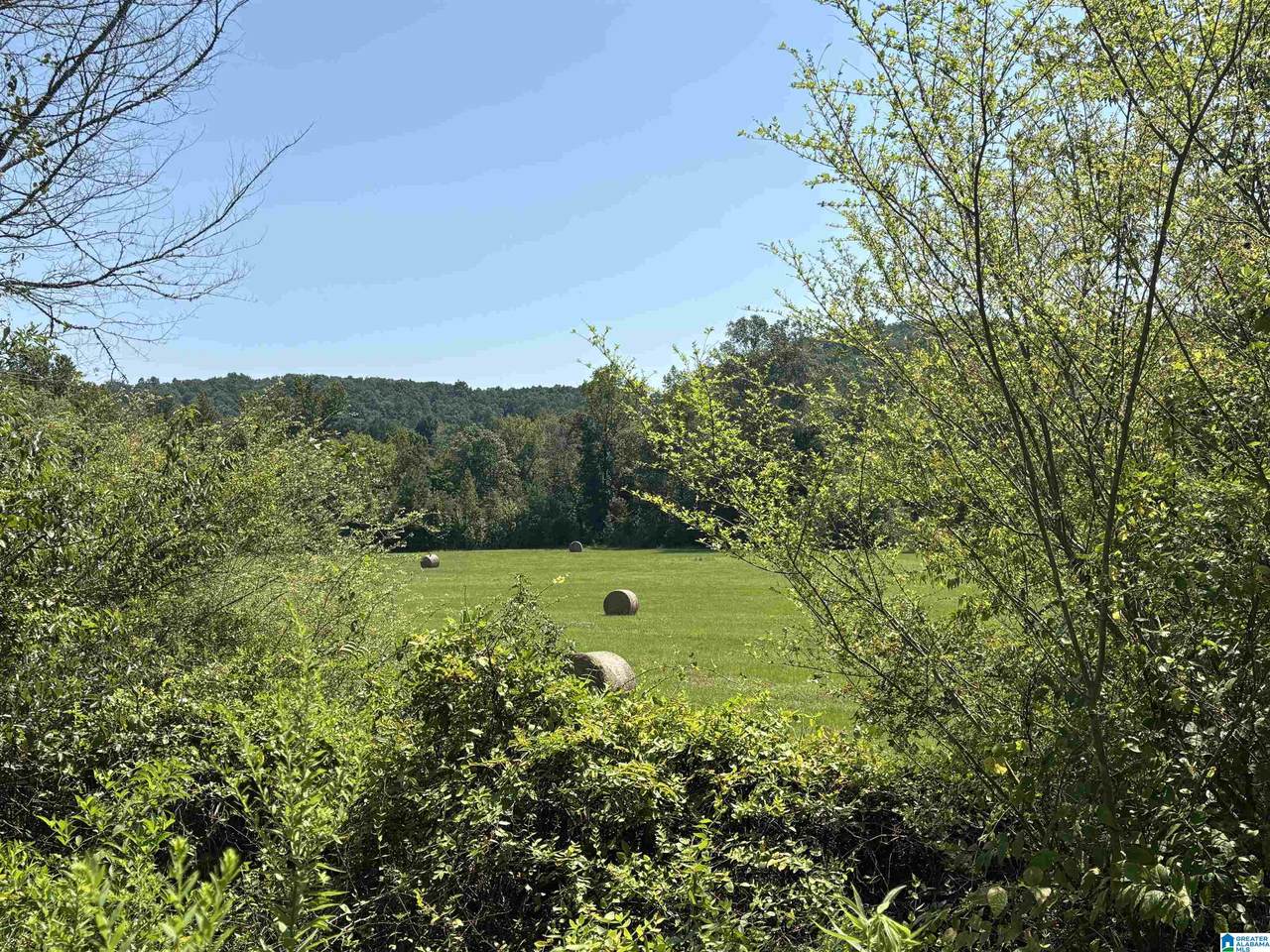 https://bt-photos.global.ssl.fastly.net/birmingham/1280_boomver_1_21463007-2.jpg