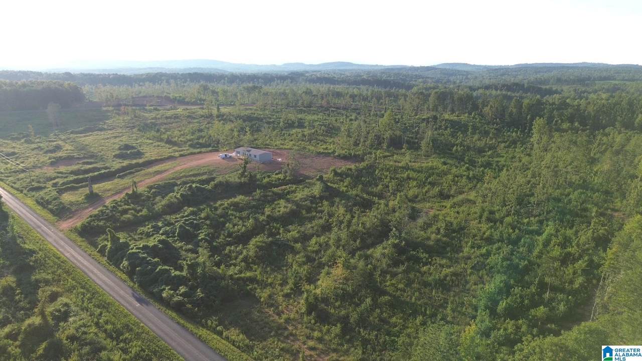 Parcel #7 Center Hill Road - Photo 1