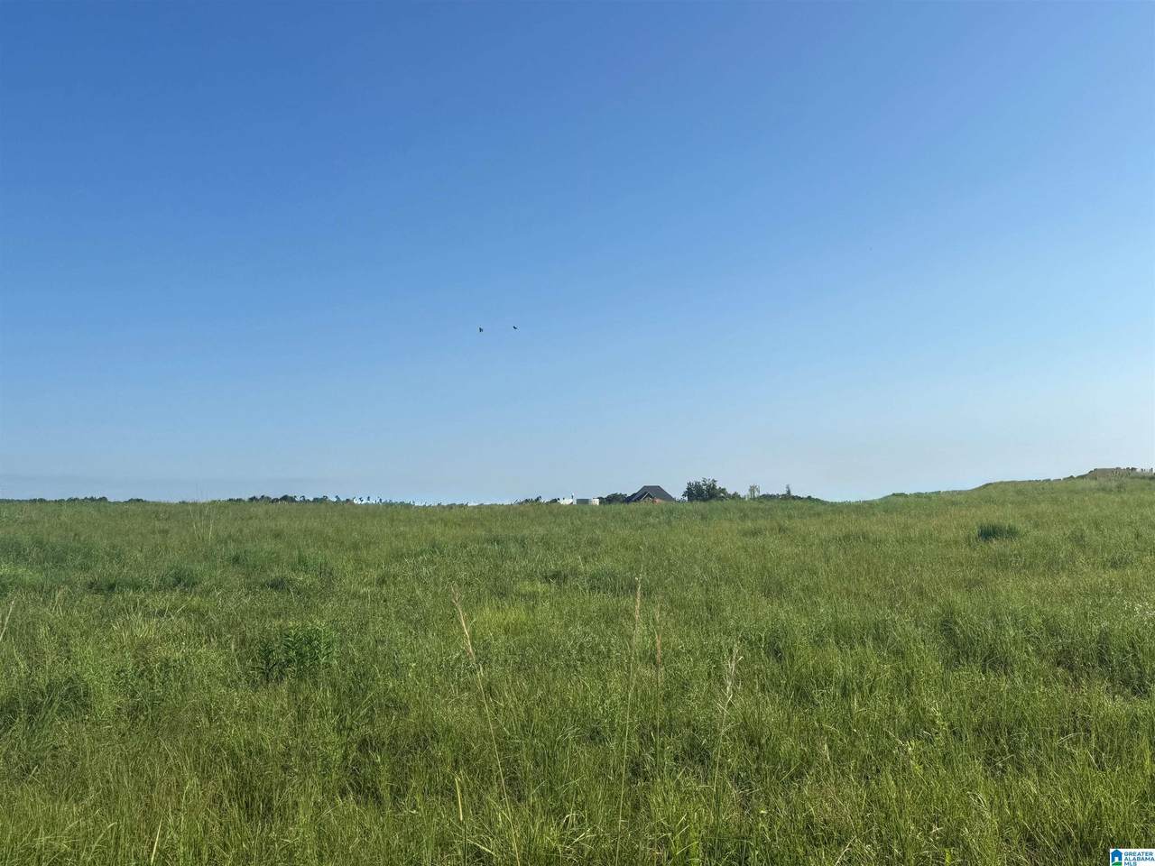 Lot 32 County Road 1464 - Photo 1