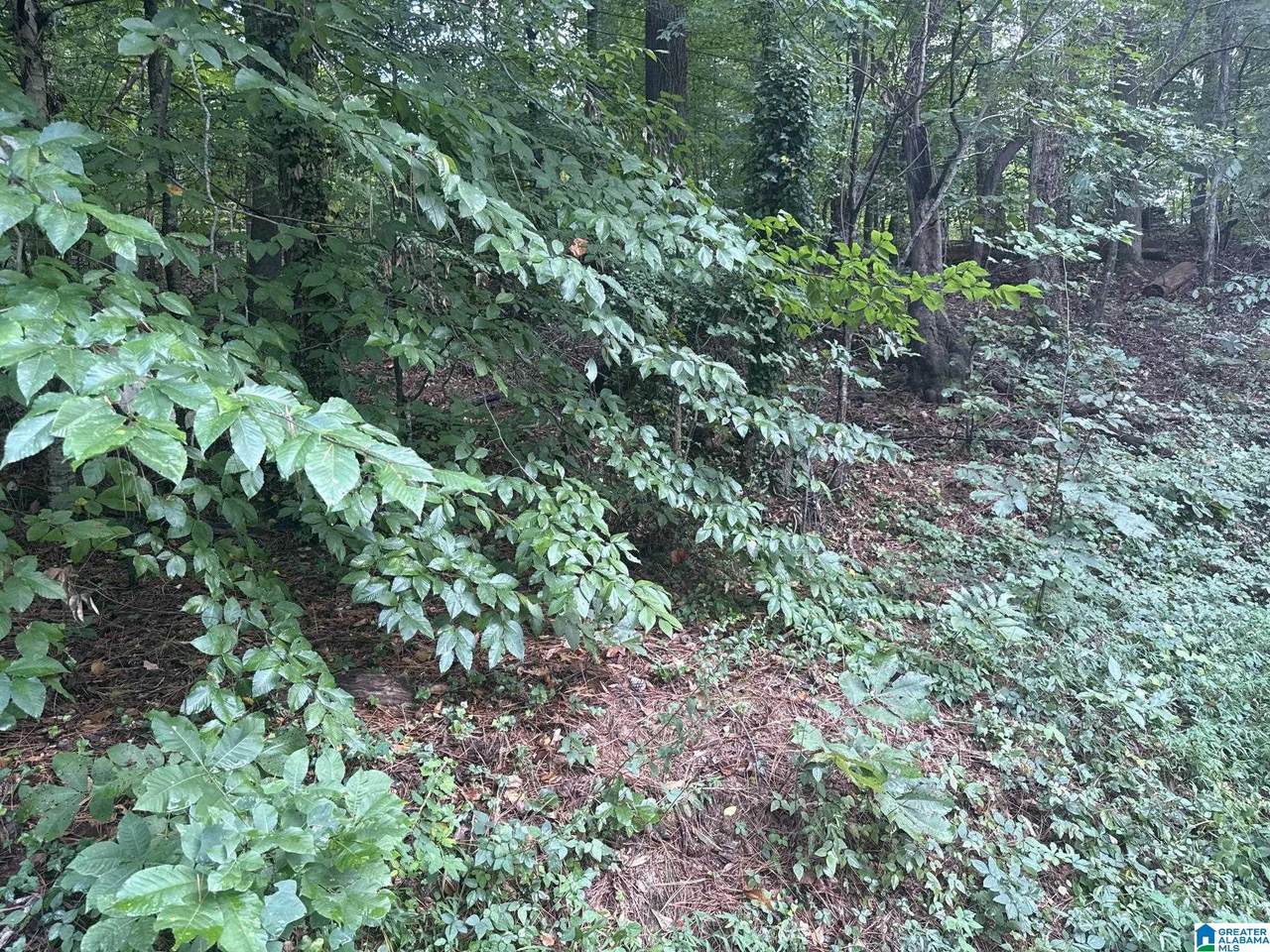 3661 Paver Drive - Photo 1