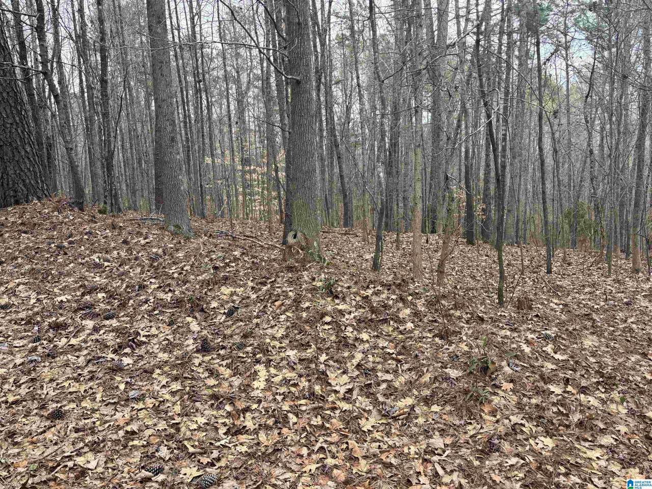 6901 Sellers Road - Photo 1