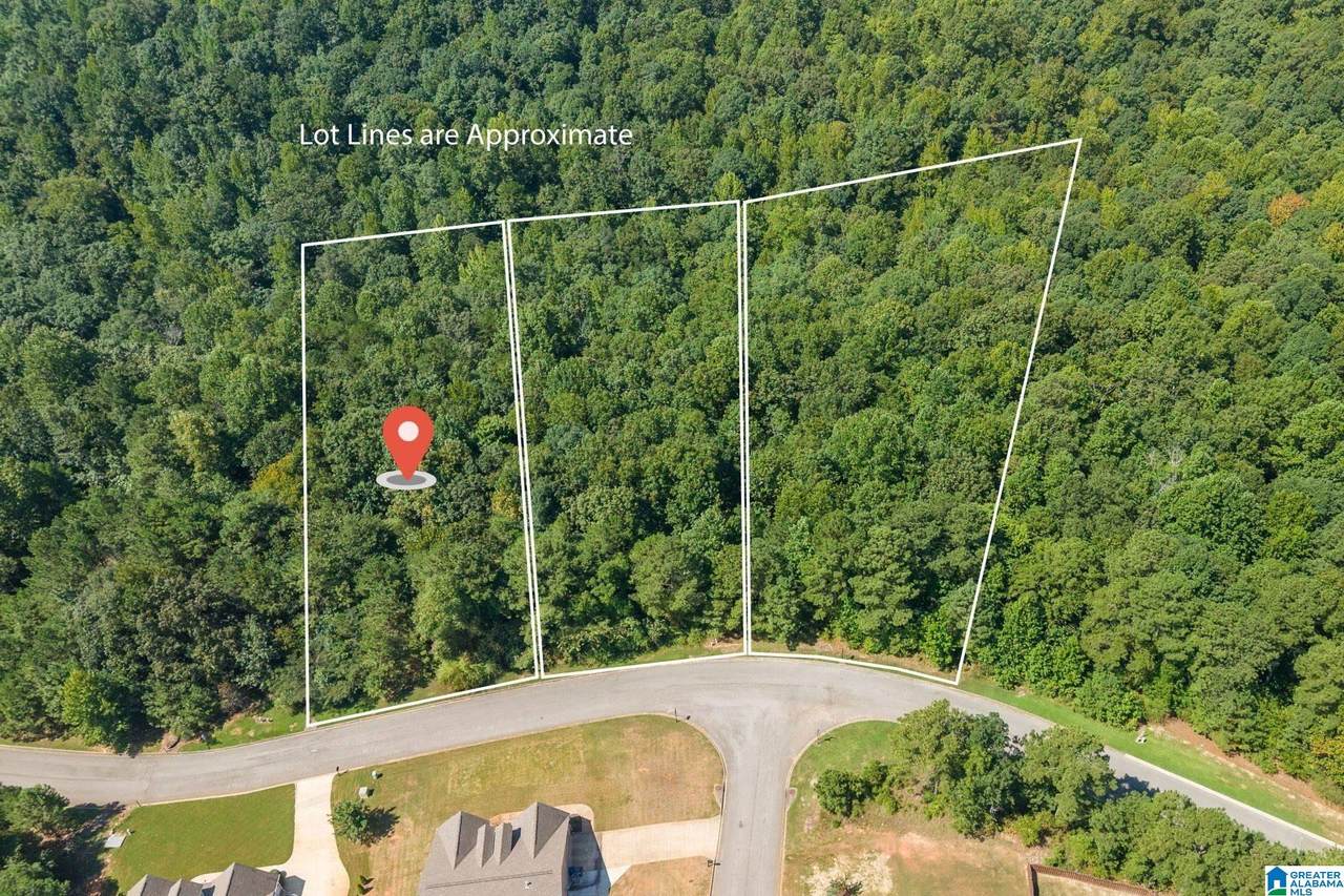 5534 Carrington Lake Parkway - Photo 1