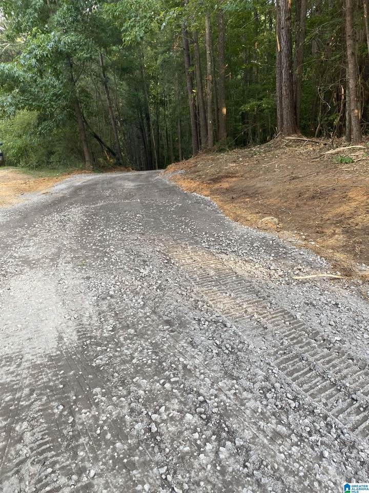 581 Buddy Vines Camp Road - Photo 1