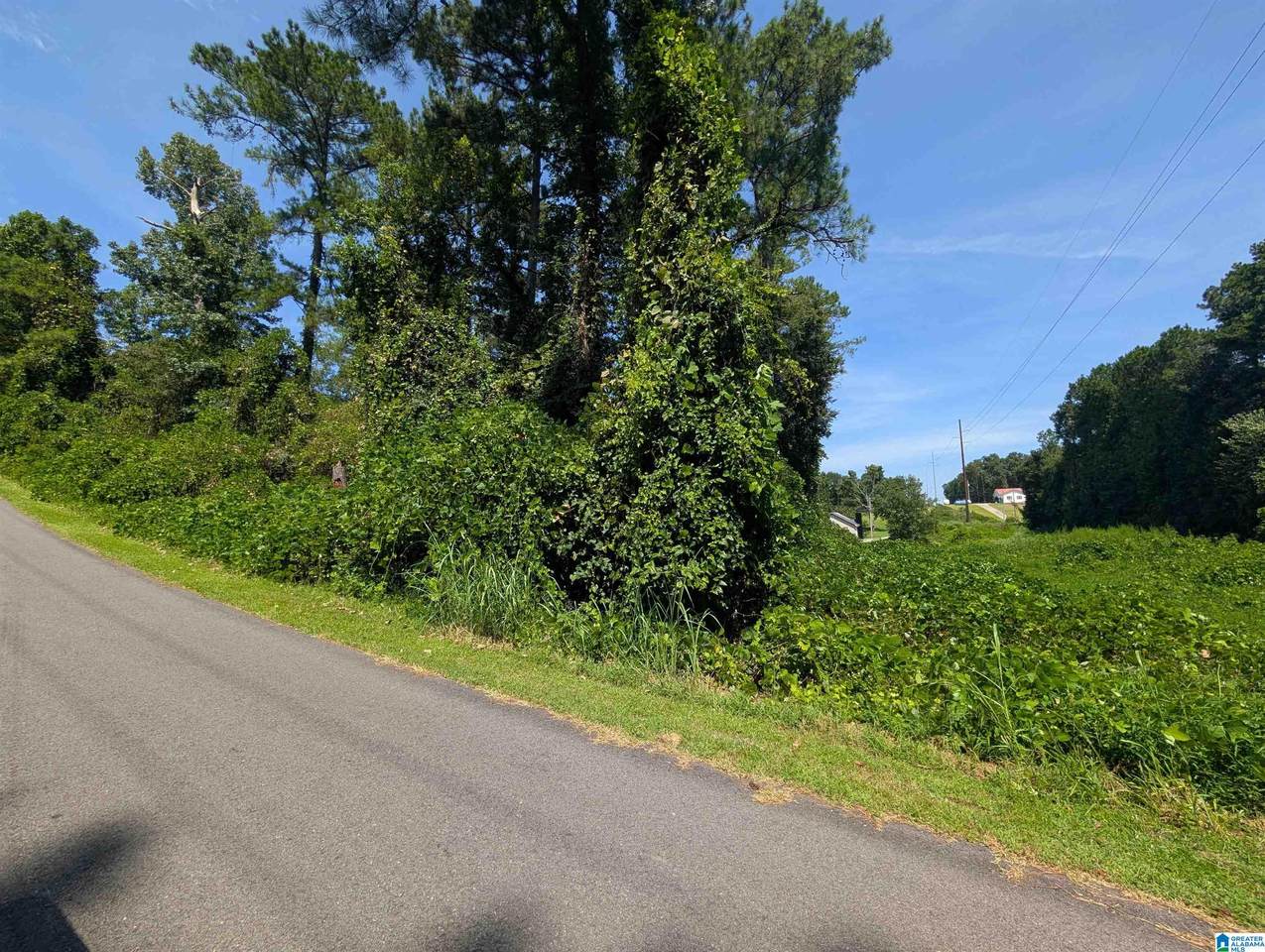 0 Hilltop Road - Photo 1