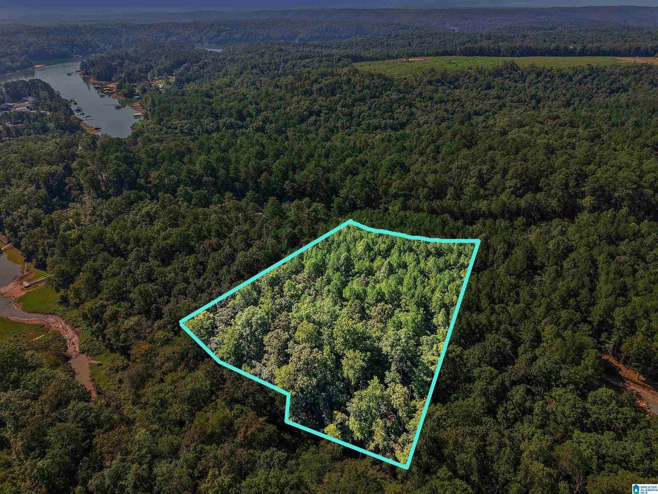 Lot 20 Shoreside Drive - Photo 1