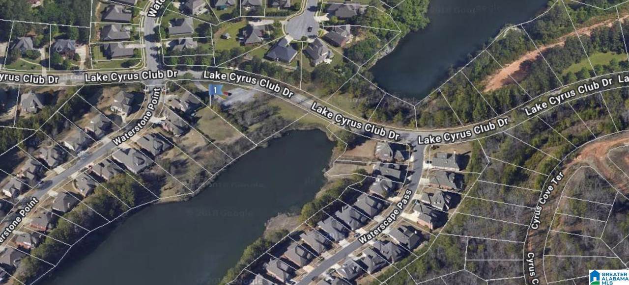 1604 Lake Cyrus Club Drive - Photo 1
