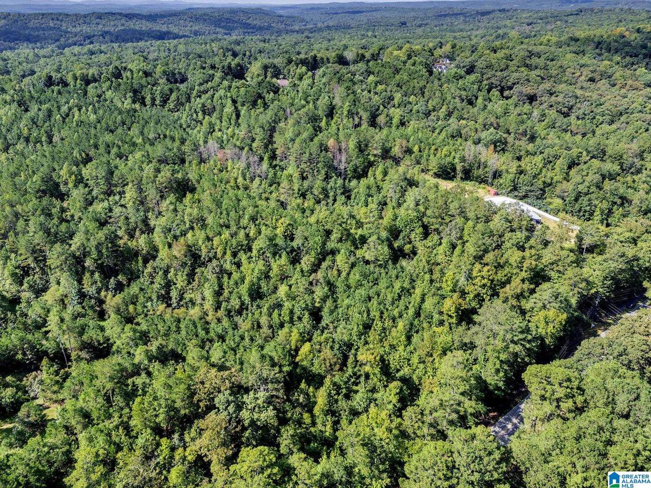 0 Mountain View Road - Photo 1