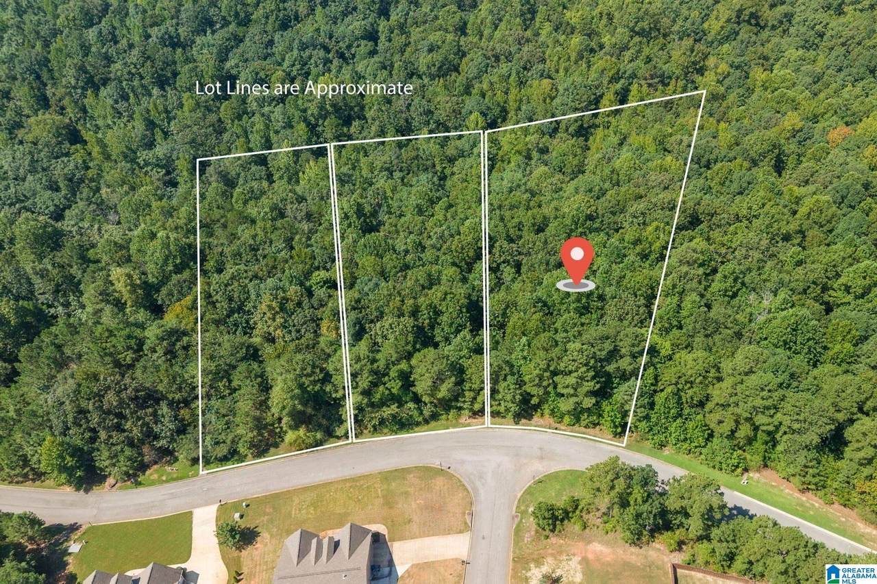 5542 Carrington Lake Parkway - Photo 1