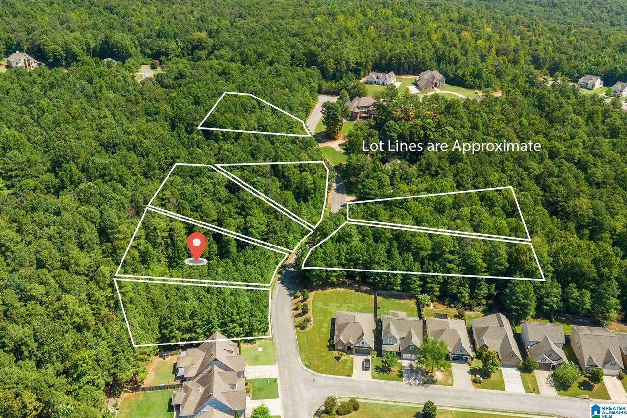 1050 Overlook Drive - Photo 1