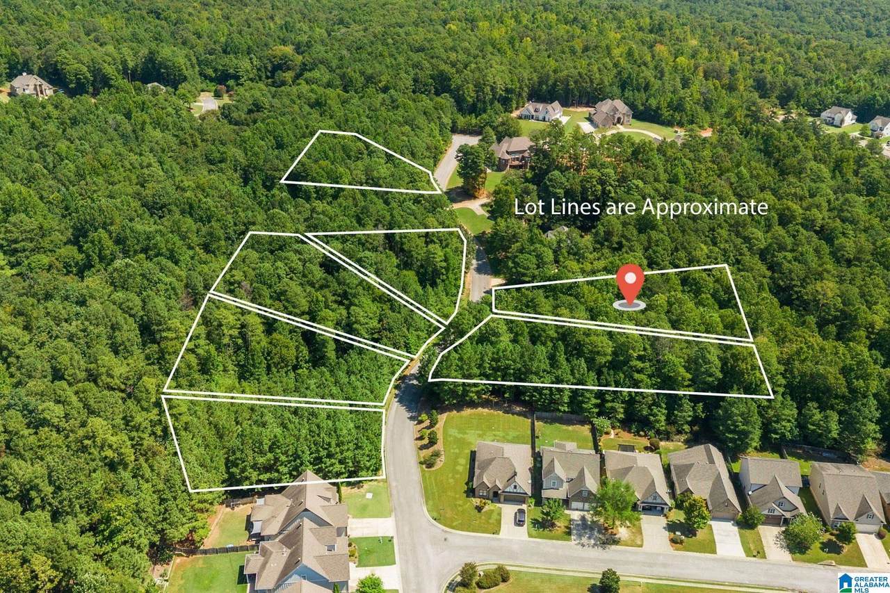 1035 Overlook Drive - Photo 1
