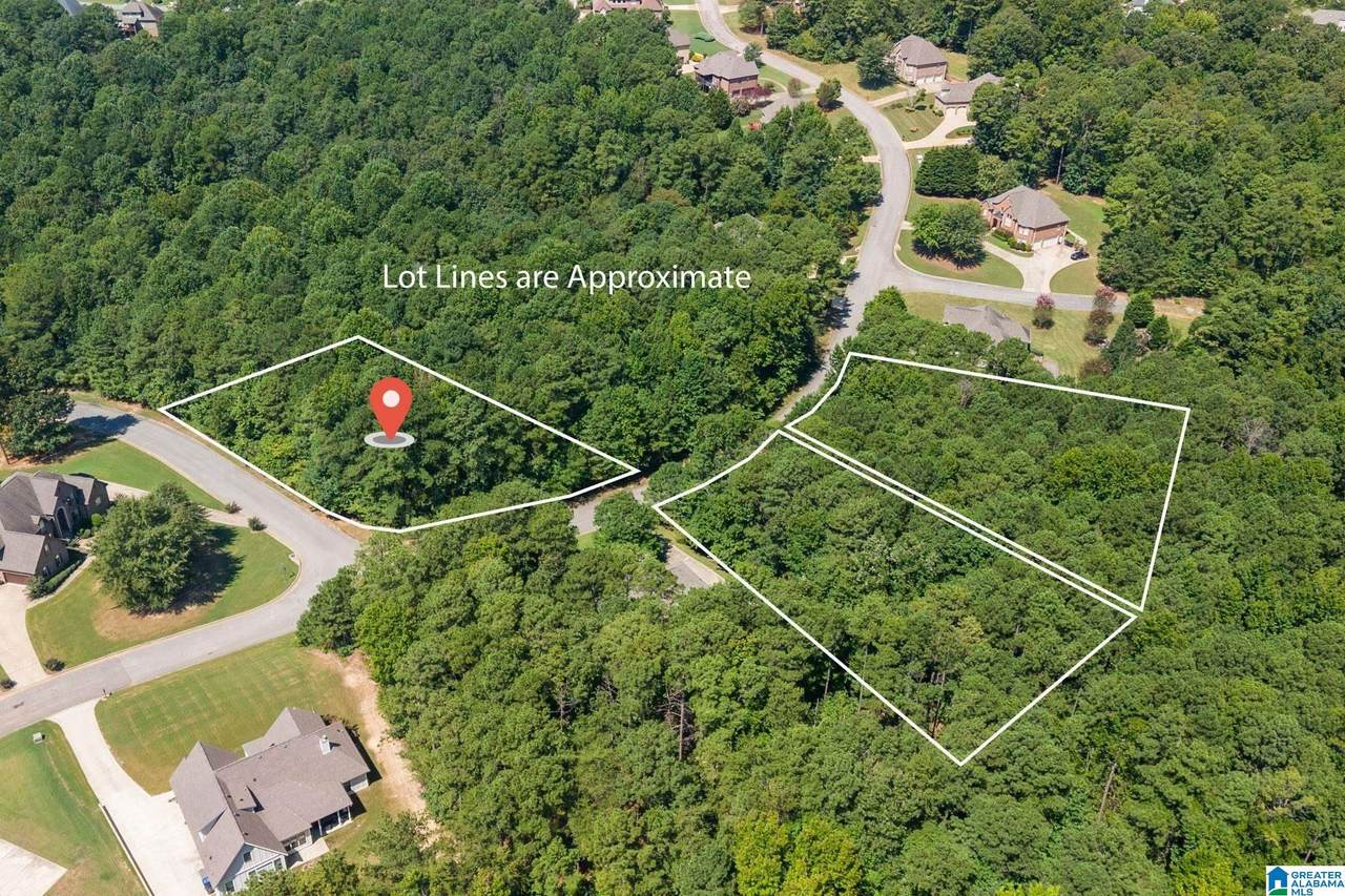 4036 Overlook Way - Photo 1