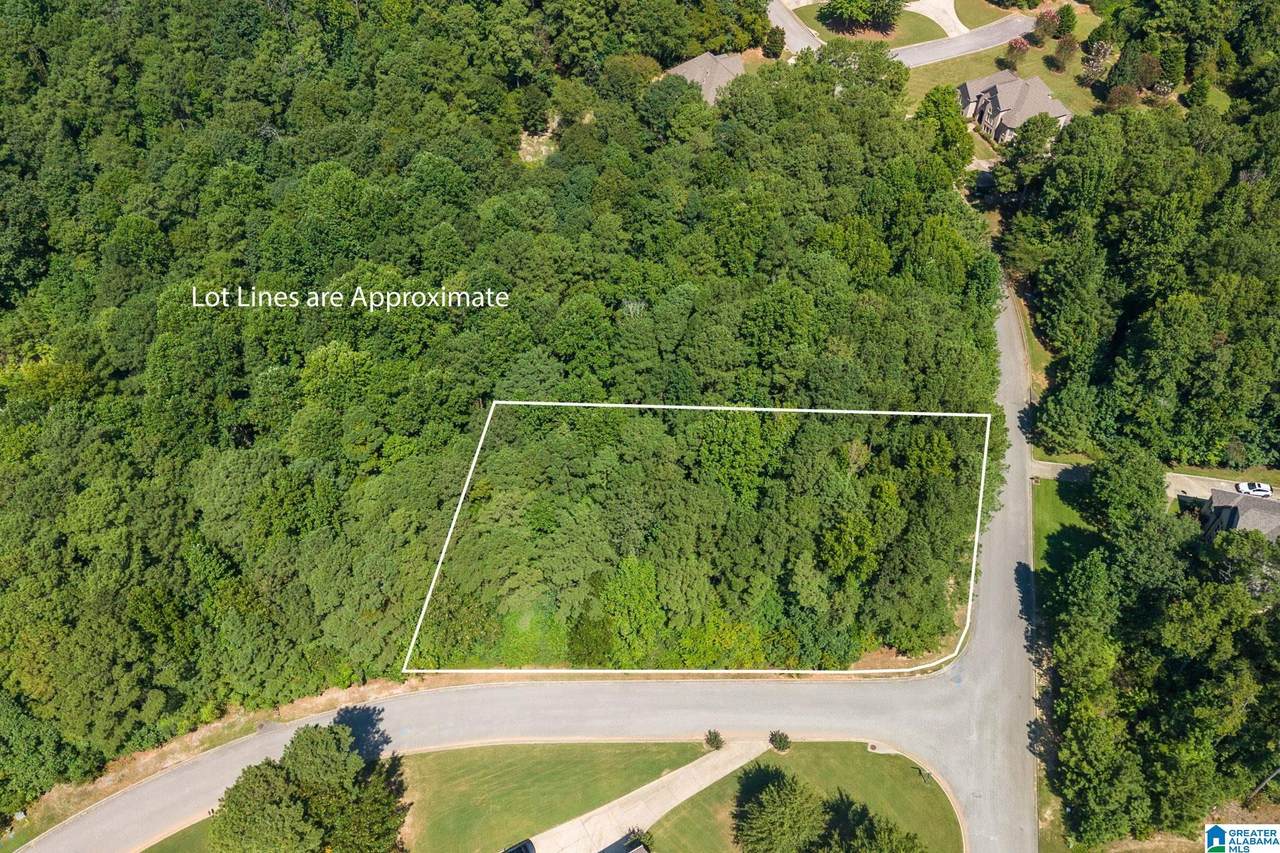 https://bt-photos.global.ssl.fastly.net/birmingham/1280_boomver_1_21463799-2.jpg