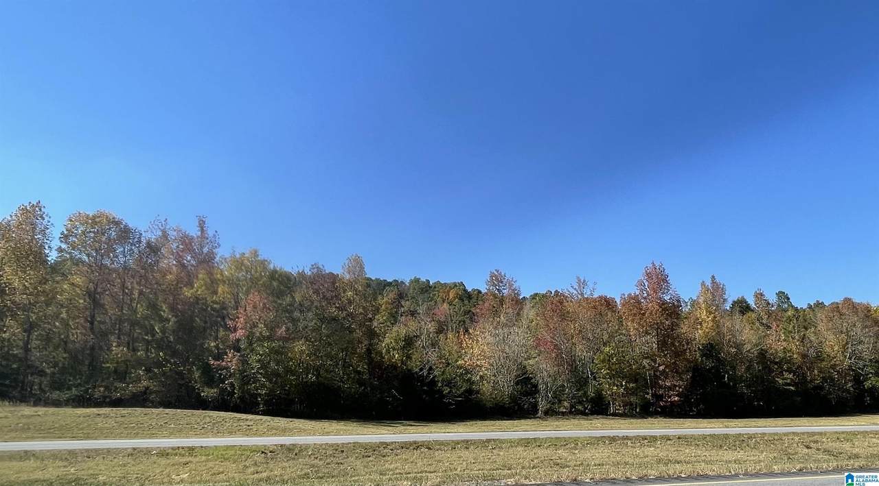 Lot #2 Highway 75 - Photo 1