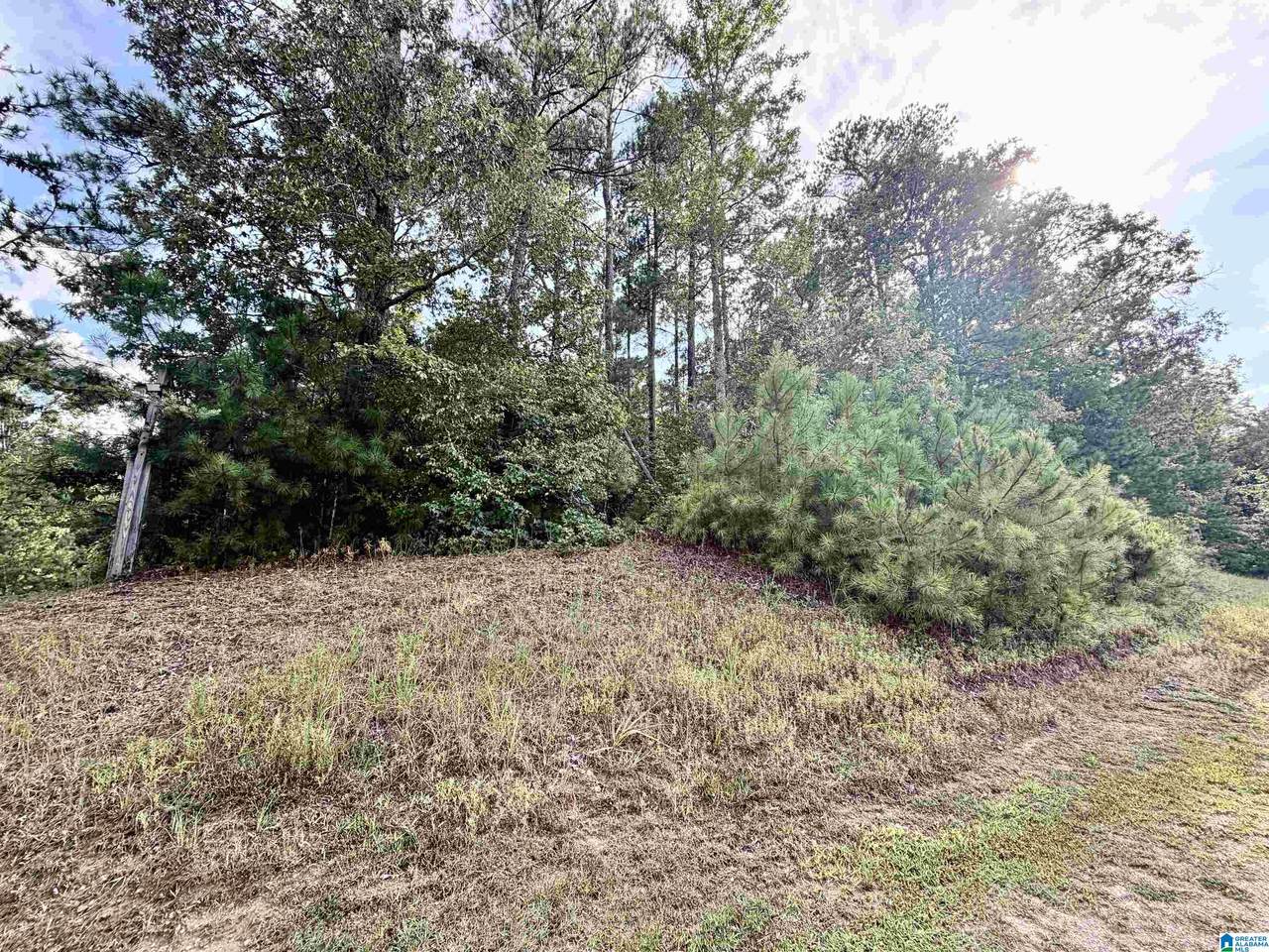 364 County Road 835 - Photo 1
